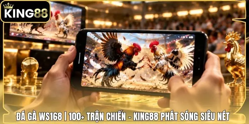 Đá gà WS168 | 100+ Trận Chiến - King88 Phát Sóng Siêu Nét