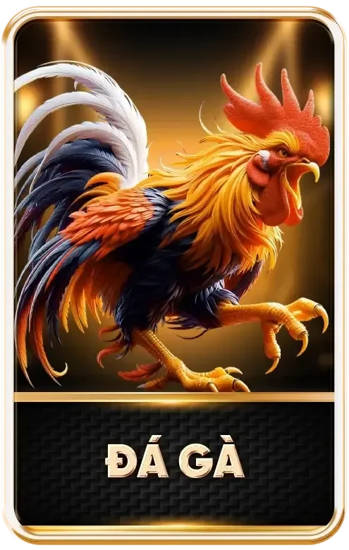 https://znx.radio.fm/